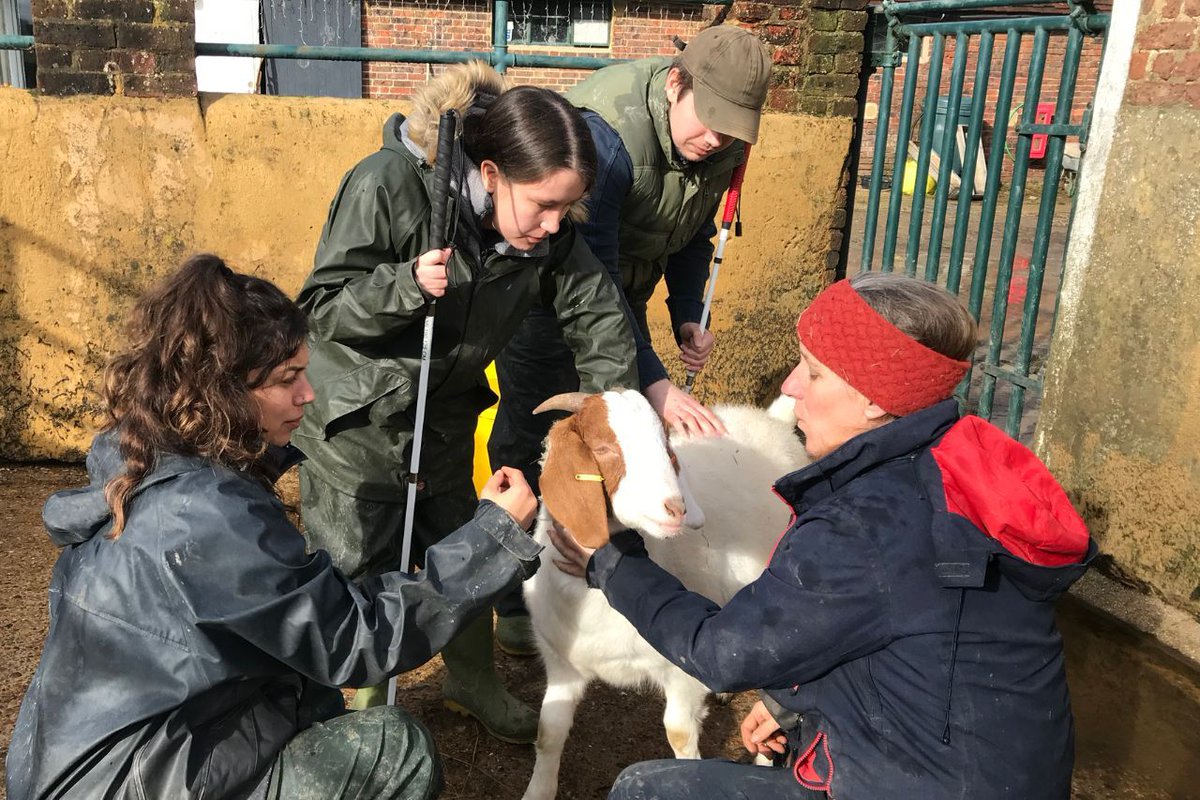 Such a fantastic project to be involved with @Vision_Fdn and @fightforsightUK, a 4-day event held at @JamiesFarm sites across the country, hosting mental health and well-being events for Visually Impaired young people to enrich lives and create community. buff.ly/3W8AU5E