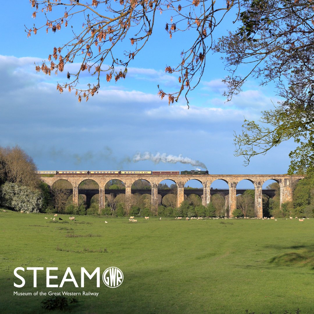 steam_museum tweet picture