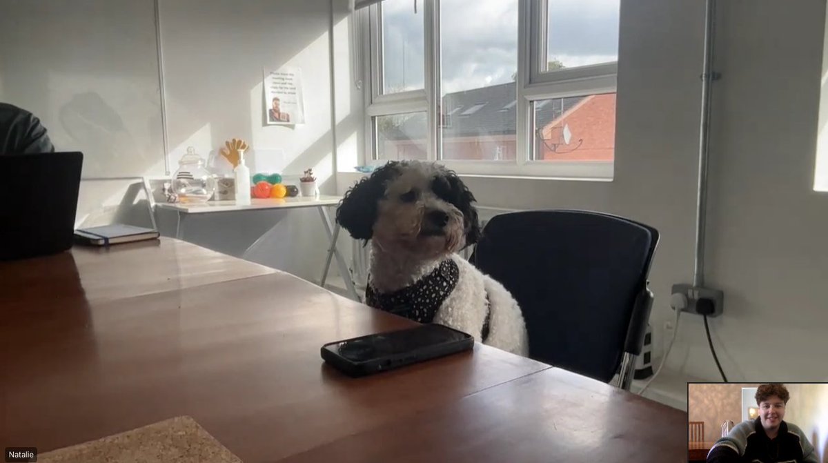 A dog is man's best- *checks notes*... Boss?! 😨

#Oxygen #OfficeDog #Bruno #BossDog