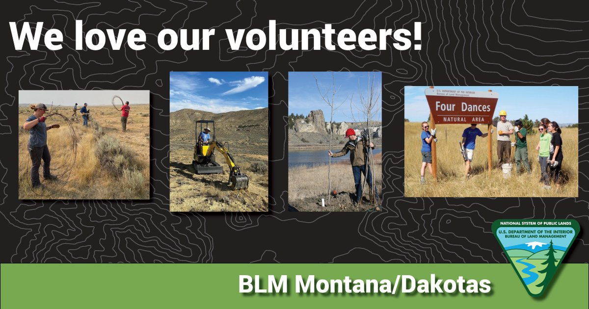 We love our volunteers! Volunteers play critical roles at the BLM’s recreation areas and interpretive sites, but that’s not all. They also monitor cultural sites, build trails, pull weeds, plant trees, and provide office assistance. Learn more at: blm.gov/get-involved/v…