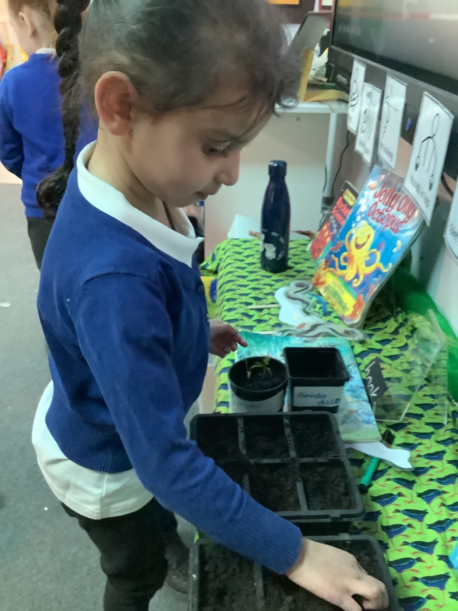 #nursery @hornparkschool planting bean, squash and tomato seeds. @SoilAssociation @sfmtweet @CompassSchools @healthyschools_