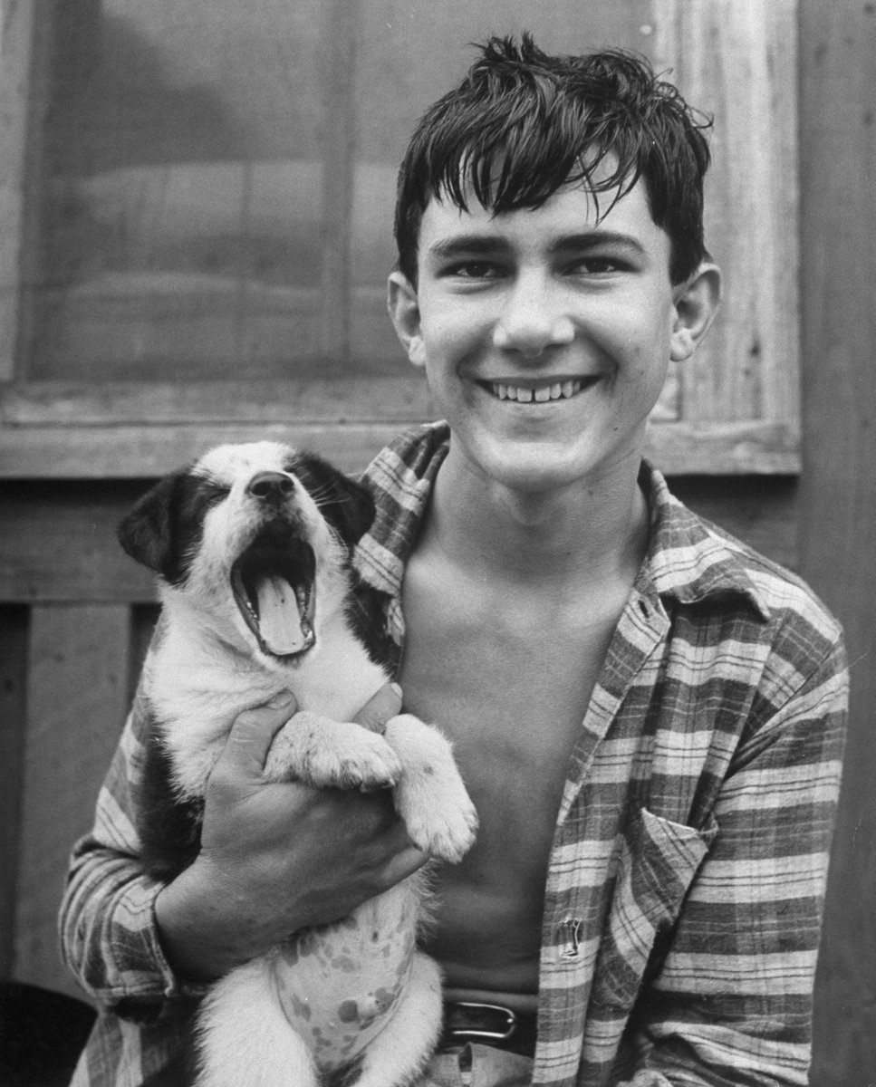 Joseph Carl Boudreaux laughing while his new puppy yawns, 1949. Want to see more adorable animals from the LIFE archive? Click below! 🐶 life.com/animals/?utm_s… (📷 George Silk/LIFE Picture Collection) #LIFEMagazine #Louisiana #1940s #Puppy #wildLIFEwednesday #Adorable