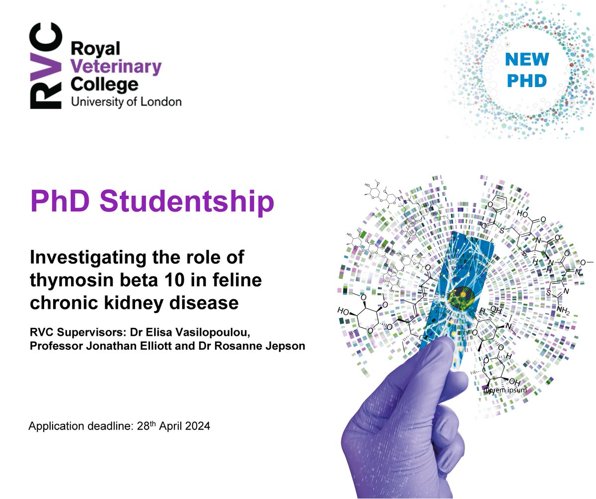 👨‍🔬 PhD Studentship open for applications: Investigating the role of thymosin beta 10 in feline chronic kidney disease 🏁 Starting: October 2024 📅 Application deadline: 28th April 2024 ➡️ Visit our website for more details and how to apply: rvc.ac.uk/phd