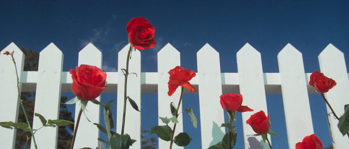 choppingwoodpod's tweet photo. The distinctive visual poetry of David Lynch https://t.co/D3fj4LadBn