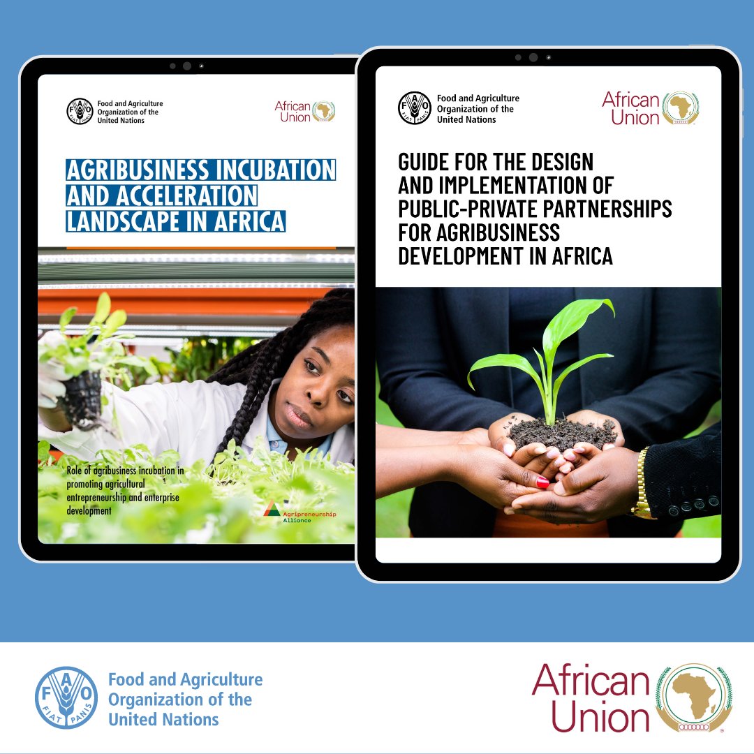 FAO and AU launch two new publications focusing on fostering agricultural entrepreneurship and agribusiness growth throughout Africa, emphasizing the significance of agribusiness incubators and public-private partnerships. Learn more 👉 bit.ly/4b7bcTj