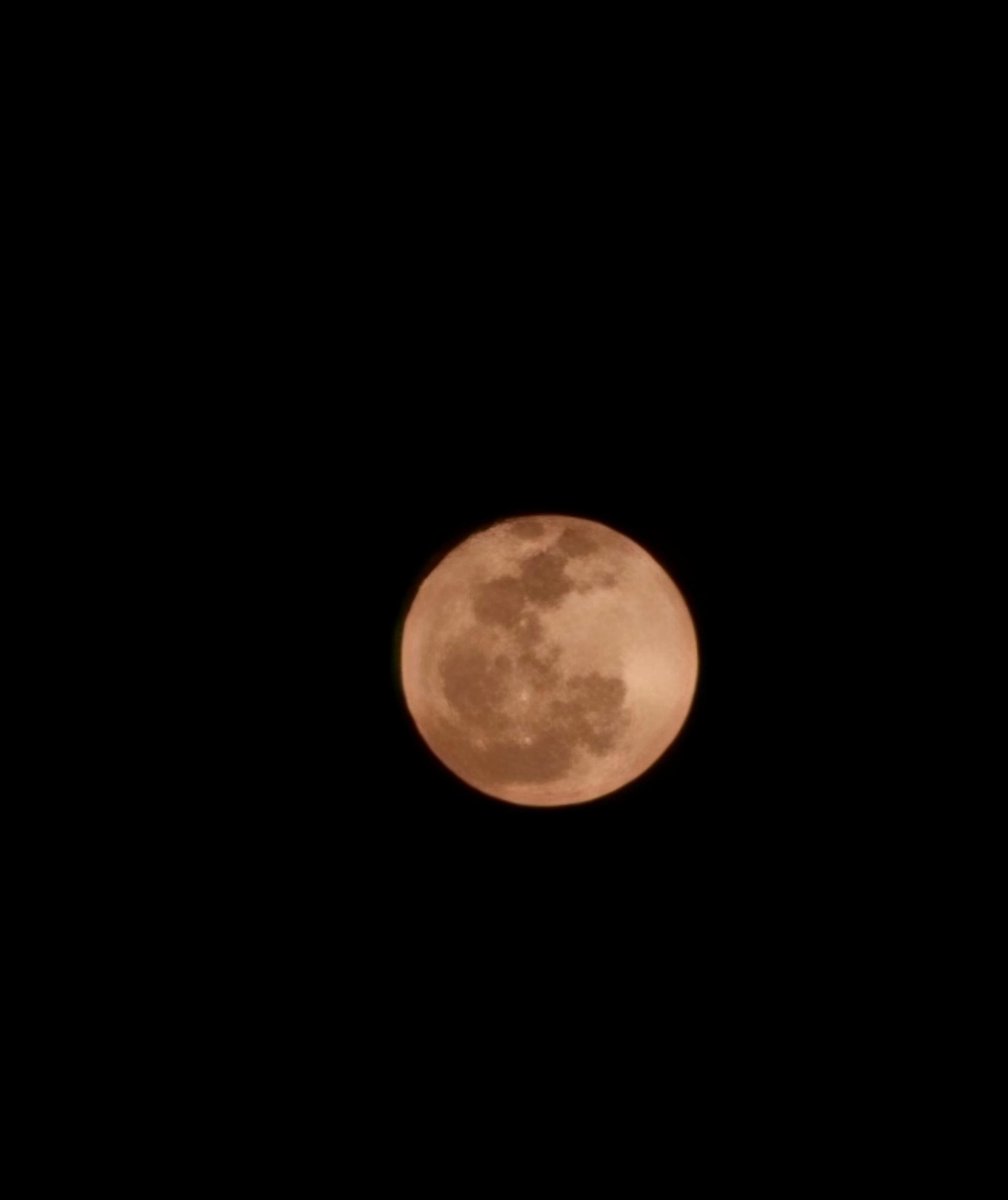 The Moon today ❤️🥹
📍 Dharamshala