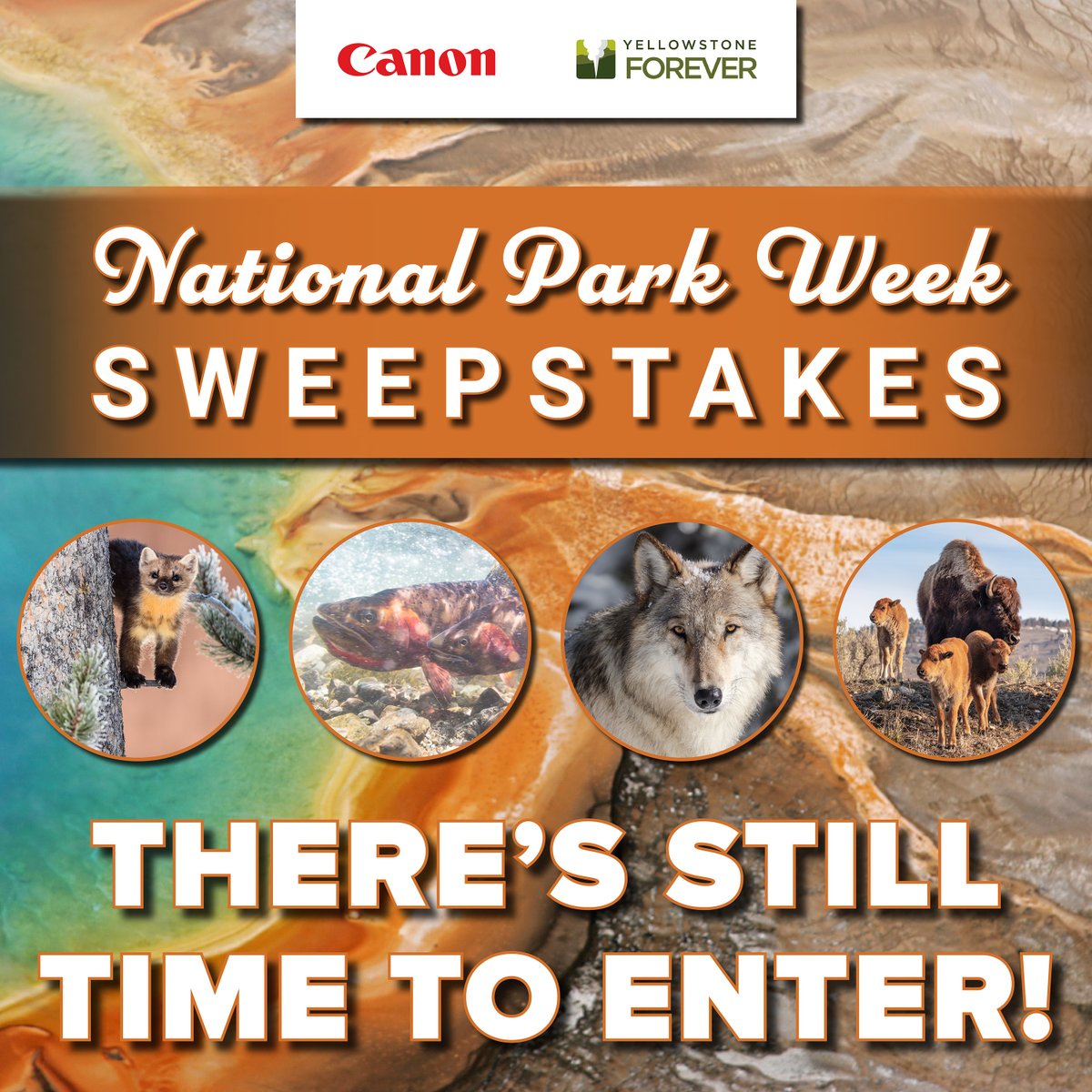 CanonUSA's tweet image. There's still time to enter our #NationalParkWeek sweepstakes! Submit your entry no later than April 28 for a chance to win one of five exciting prize packs.

Enter now: canon.us/NPWSweeps2024