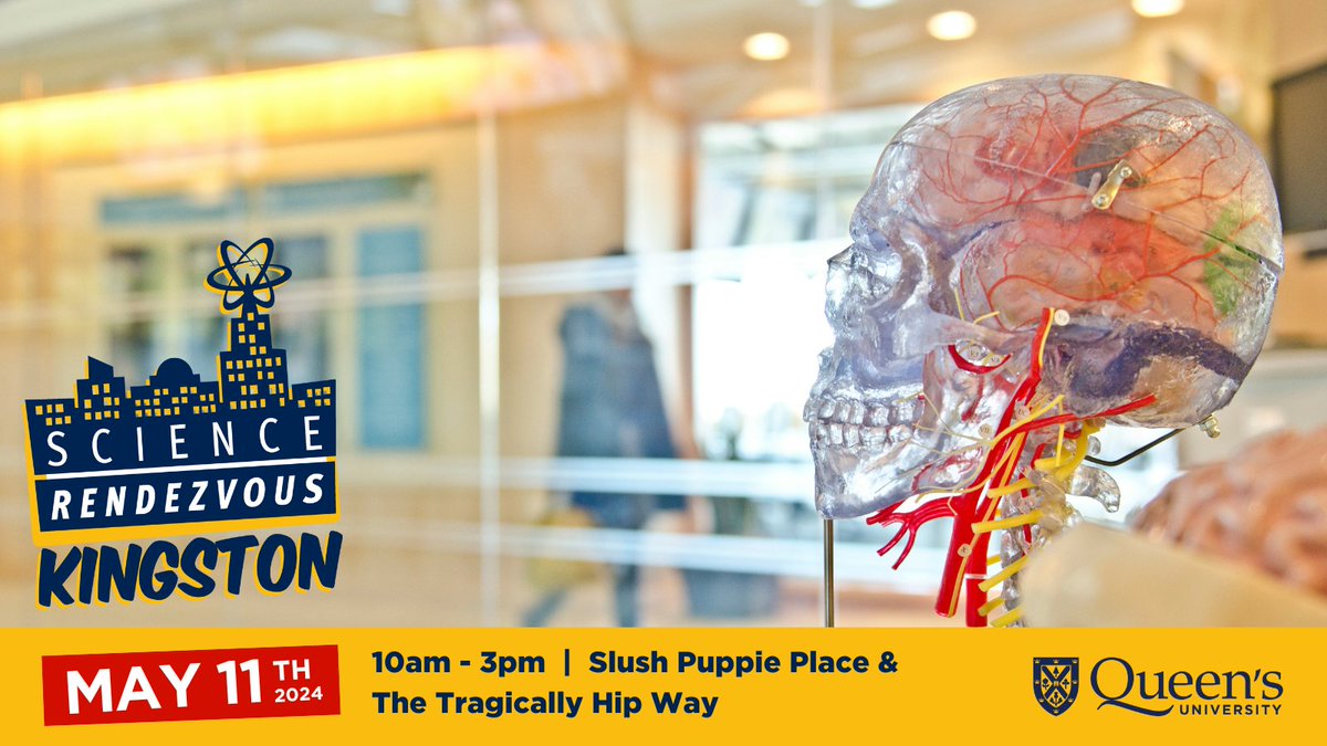 Explore the intersection of biomedical engineering and everyday materials at #SRKingston2024! 🔬 Discover how materials support tissue growth, and dive into the vital role of blood vessels. 🧬🩺 Learn more about our booths ➡️ bit.ly/3mnRTBj | #SciRen #SciRenInnovate