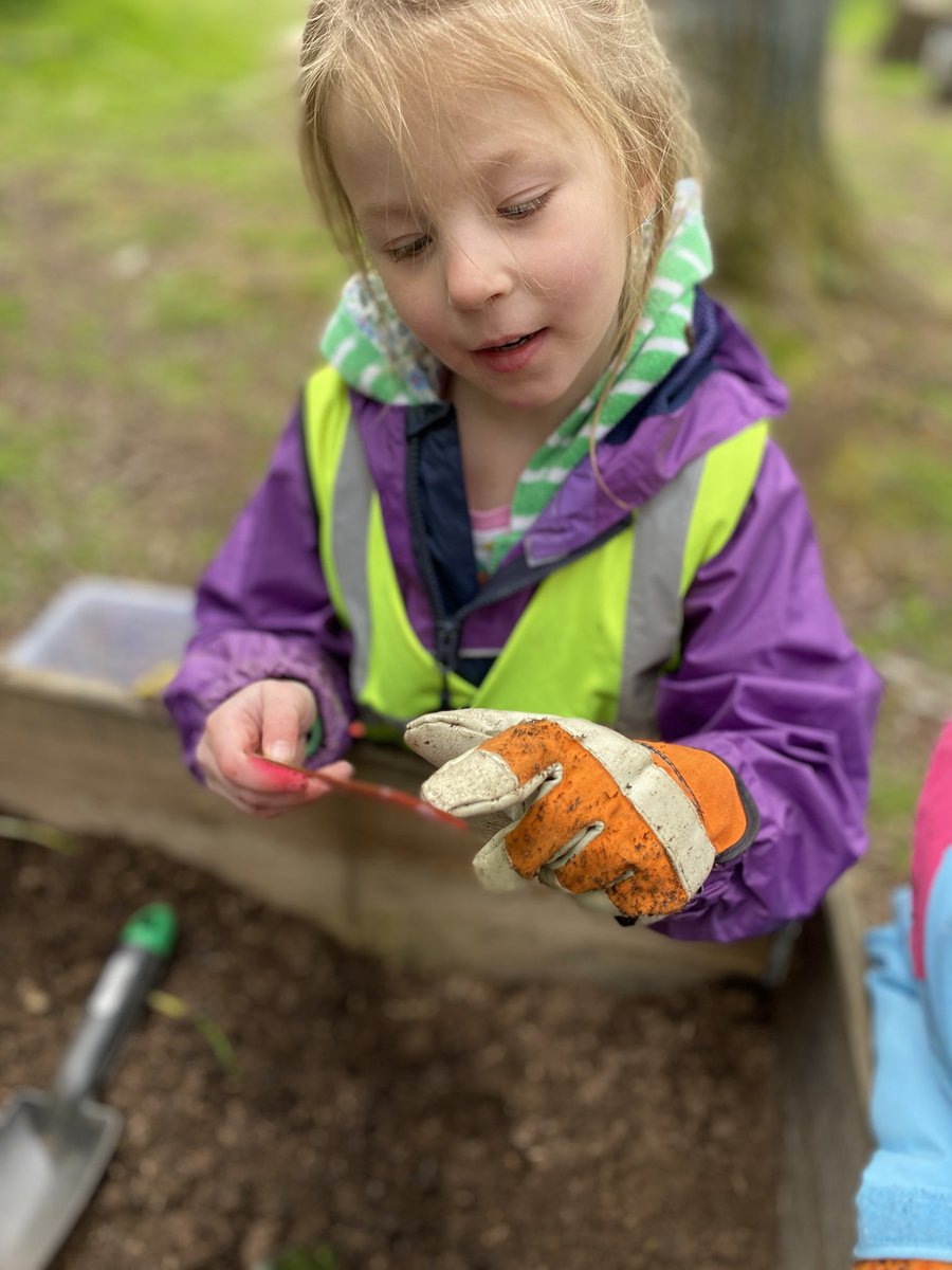 ND_ForestSchool tweet picture