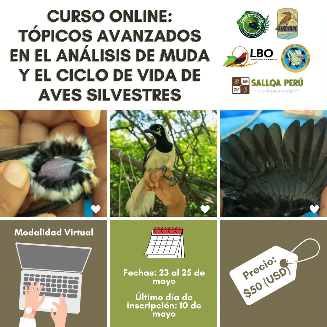 Mauricio Ugarte tweet media