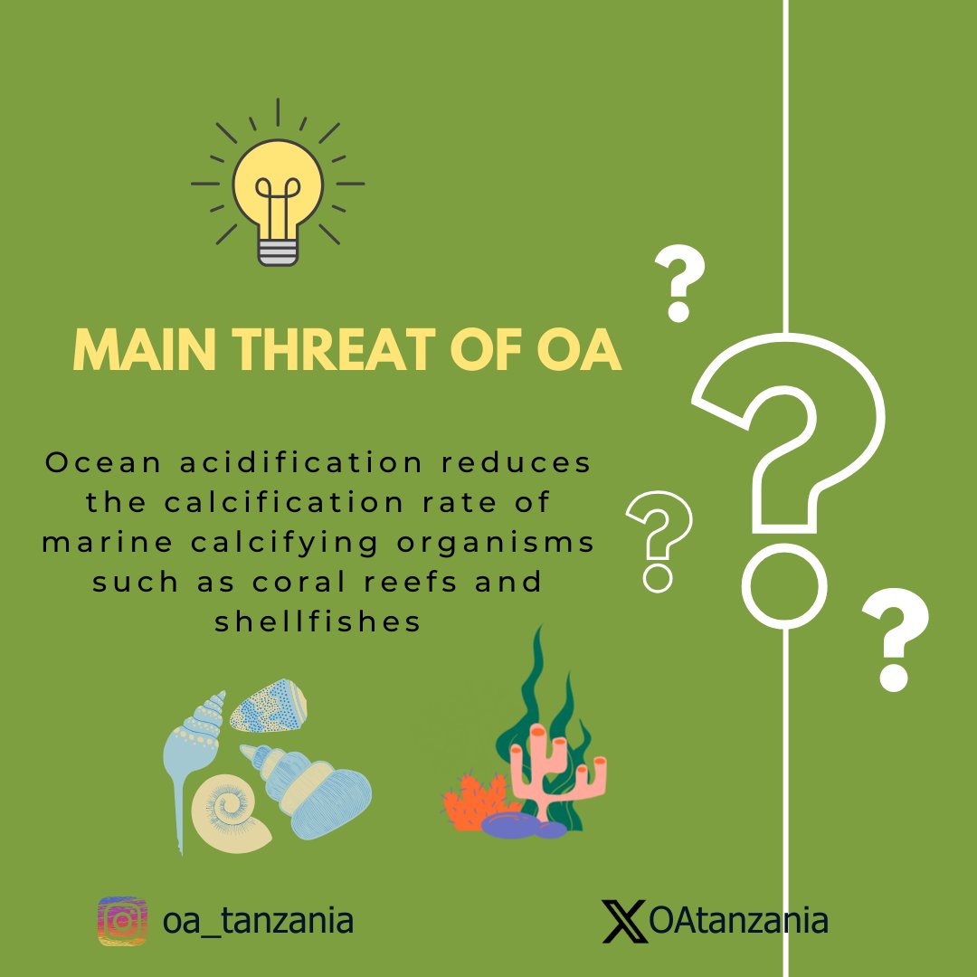 Ocean Acidification 101😇 Part I What is ocean acidification? What causes ocean acidification? What is the main threat of ocean acidification? In our next session (Part II), we will explain more about the effects of ocean acidification. See you #Oceanacidification