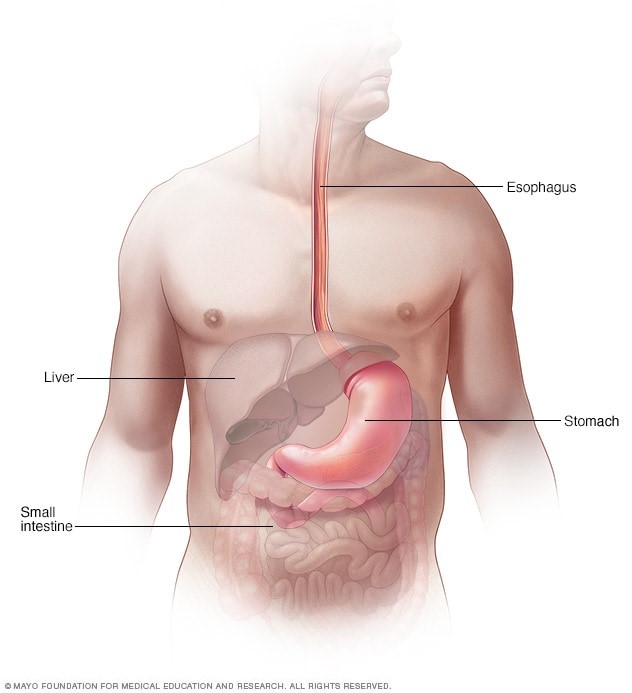 Esophageal cancer is the sixth most common cause of cancer deaths worldwide. #EsophagealCancer #CancerAwareness #Prevention
hubs.li/Q02qjK_j0