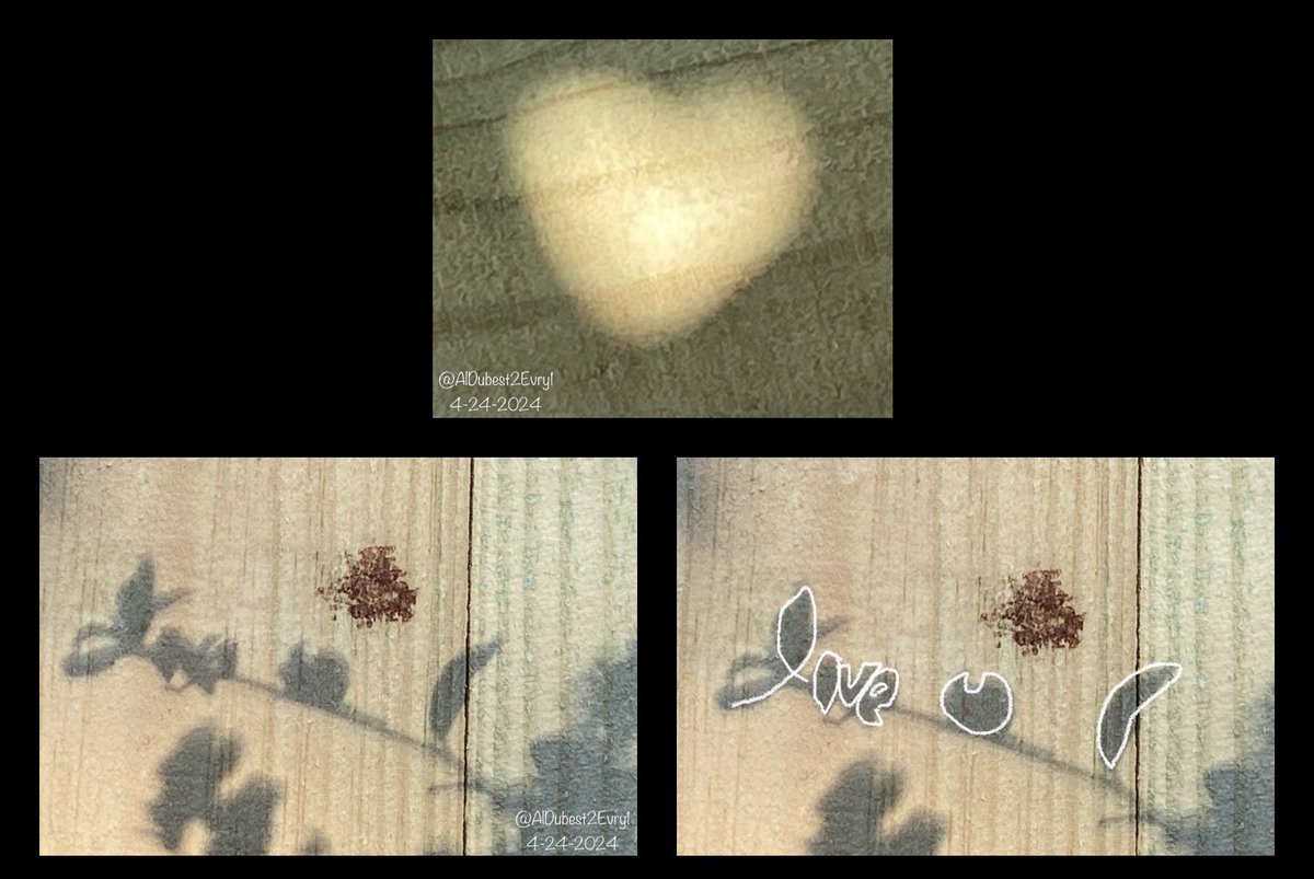 Shadow of God’s plants 🪴 this morning.

💛 “ love  u    I  “

#ThingsUnseen Godwink #Godwinks #LoveLetter #ILoveYou #YourKingdomCome #wednesdaythought  #heart Job 41:11 #WednesdayMotivation John 15:9 #YouAreLoved 
Love is What God is. 

 Jesus: “I love you. Remain in my love.”
