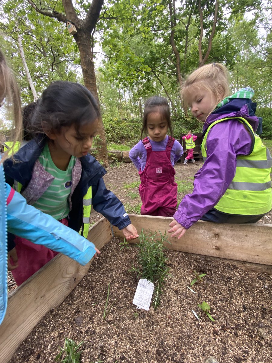 🌍Beautiful Earth! Reception girls explored the differences with materials of the Earth and they planted seeds in the planter, measuring the recommended depth. They also explored the herb garden, taking note of the textures and aromas. #eathday #planting #measuring #herbs 🌱🪴🌹