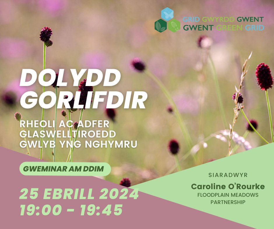 Nos yfory!

Byddwch yn barod i gael eich synnu gan harddwch a bioamrywiaeth dolydd gorlifdir Cymru

Ymunwch â'n gweminar ar Ebrill 25ain am 7pm. Rhannwch y neges!

#carwyrnatur #gwlyptiroedd #dolyddgorlifdir

Cadwch le yma: bit.ly/floodplainwebi…