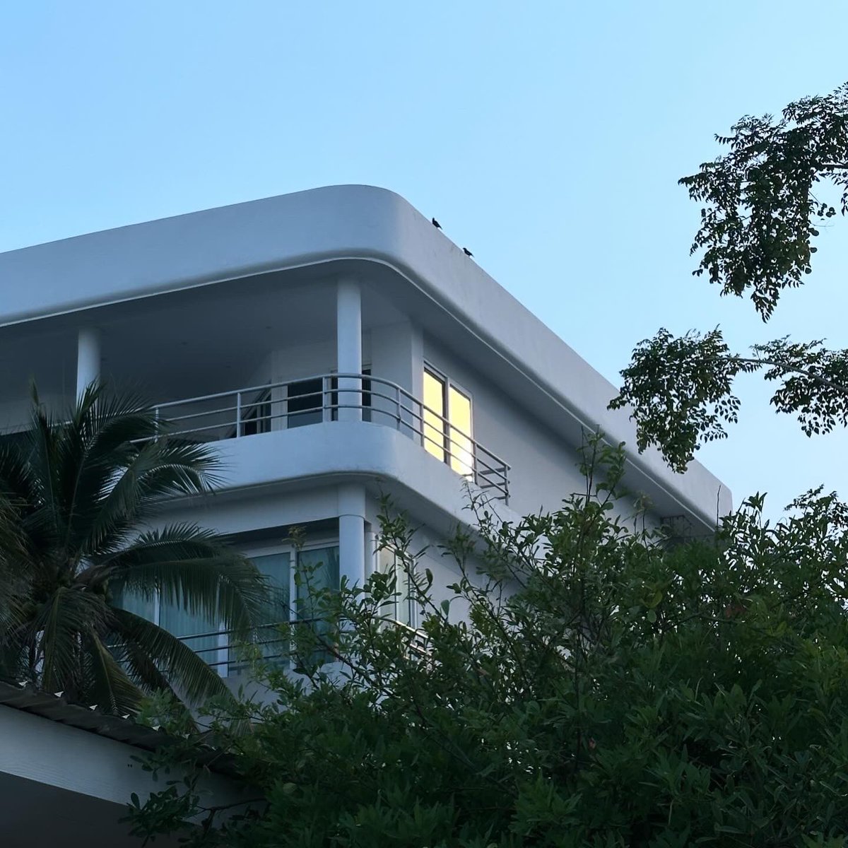 pd (@quansepp) on Twitter photo 