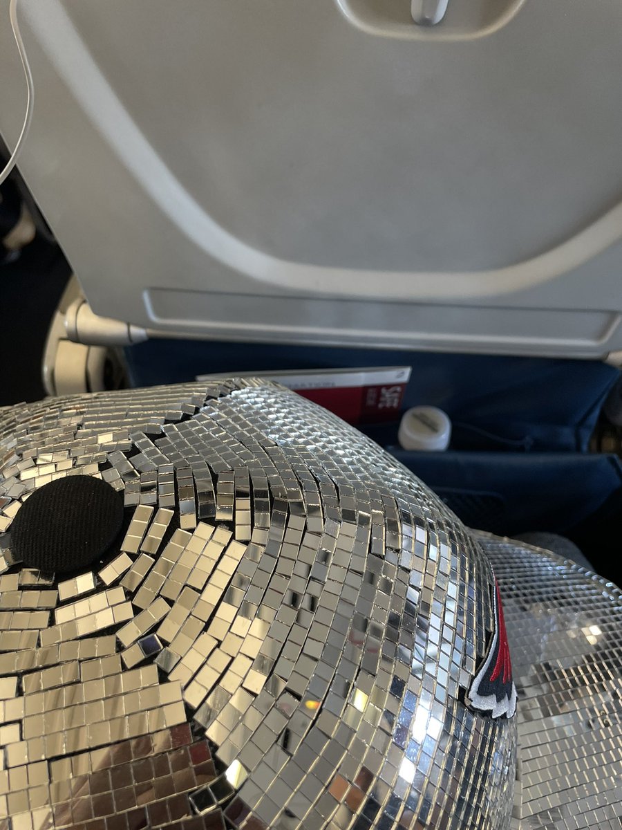 🪩 🧢   🌵 ✈️ 🦁