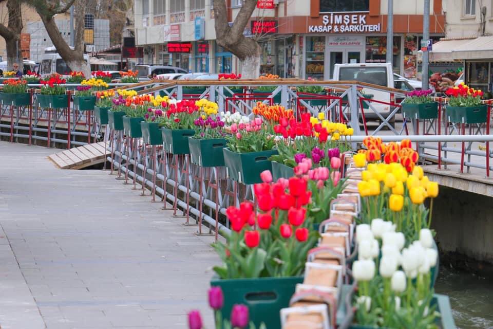 Ve birgün..... Varlığını bile bilmediğin biri çıkar karşına Bezm-i Eleste yapılmıştır sözleşme Kalu belâ da başlamıştır yolculuk Gelir seni..... Kazaya'da.... Kadere'de.... Kedere'de razı eder ..