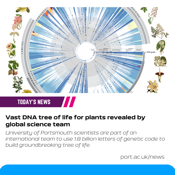 A DNA tree of life #plants has been built using 1.8bn letters of genetic code from over 9,500 species! 🧬 It was crafted by 279 scientists - including from @portsmouthuni 🌿 Find out more: bit.ly/4aPk4NV @Nature @natalia_chirps @DrSDodsworth @UoPScience @kewgardens