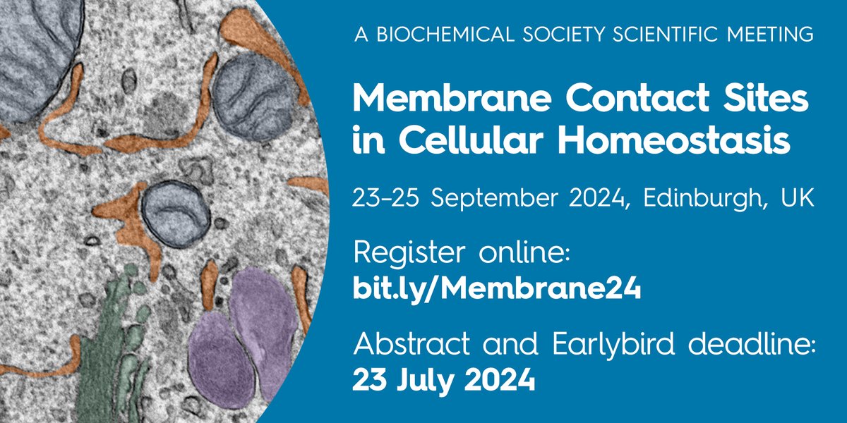 Keep up-to-date with the latest in membrane contact site biology by joining us in Edinburgh! Featuring the 2024 Keilin Memorial Lecture presented by @michael_duchen, register before 23 July to gain earlybird access. #BiochemAwards ow.ly/ZFHH50RlZuA