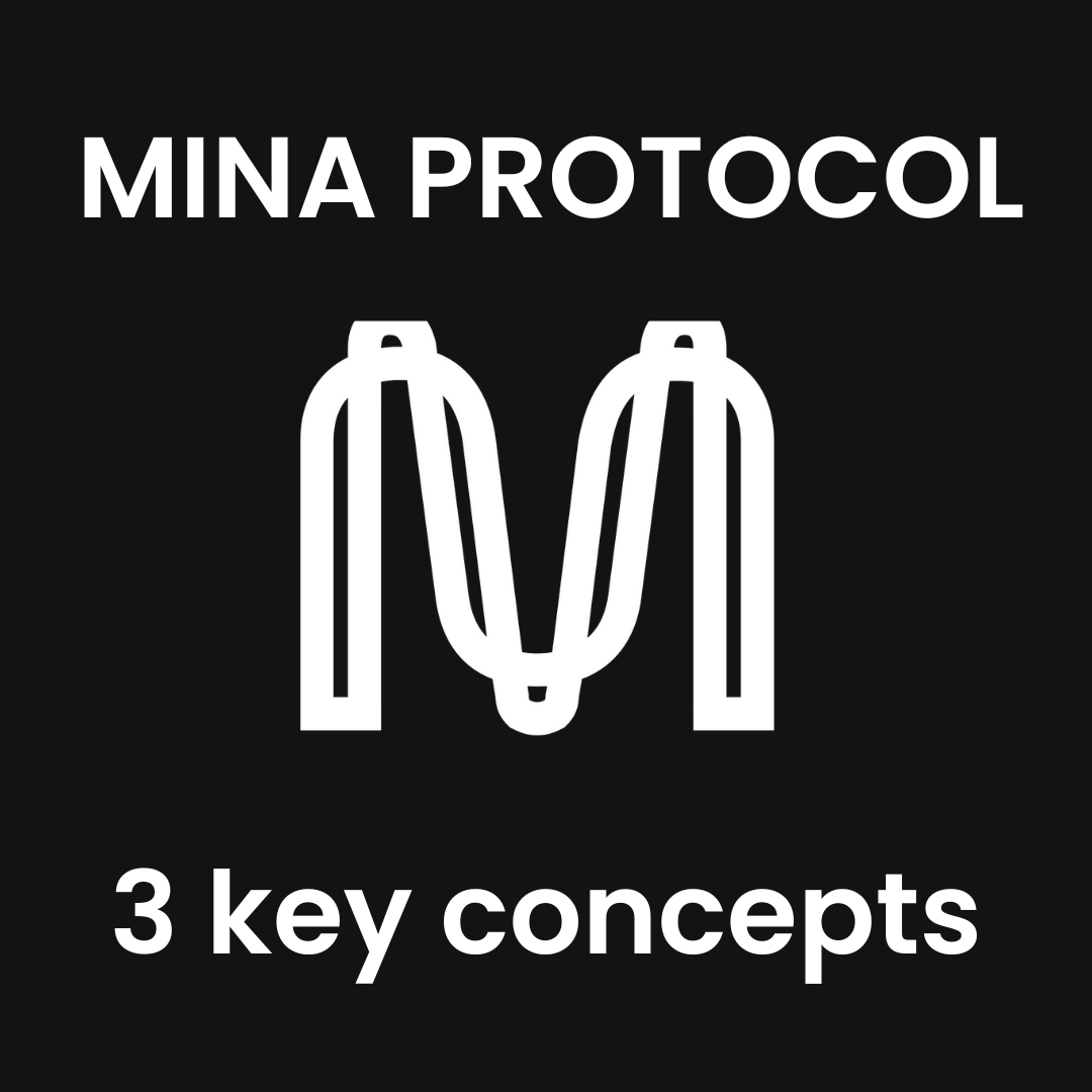 Mina Protocol is a blockchain designed to be lightweight and scalable. Here are 3 key concepts to learn more about it.