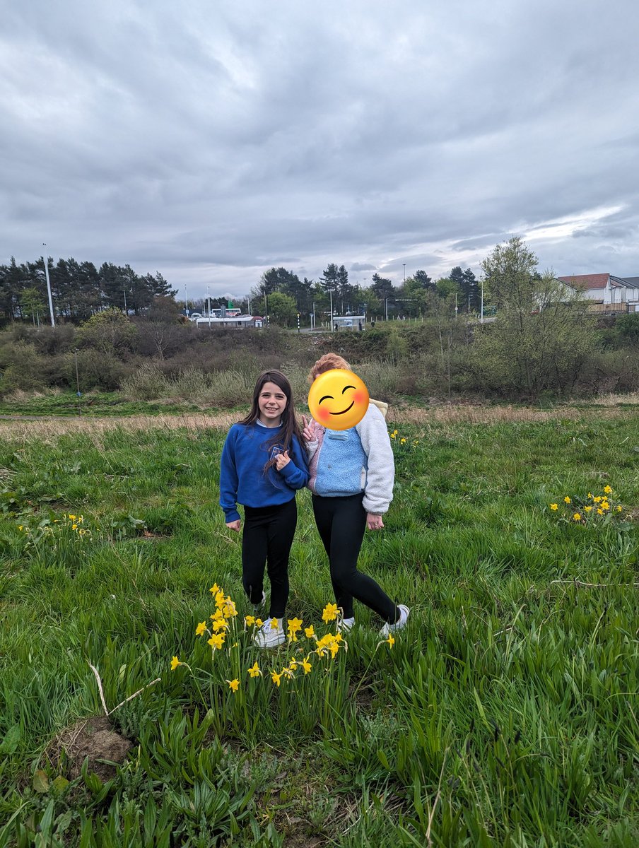 BroccoliWeeTree's tweet image. This week we went out to visit the daffodils we planted in November to see them now they are grown and writing about them this week. 🌼🌼🌼🌼🌼🌼🌼🌼🌼