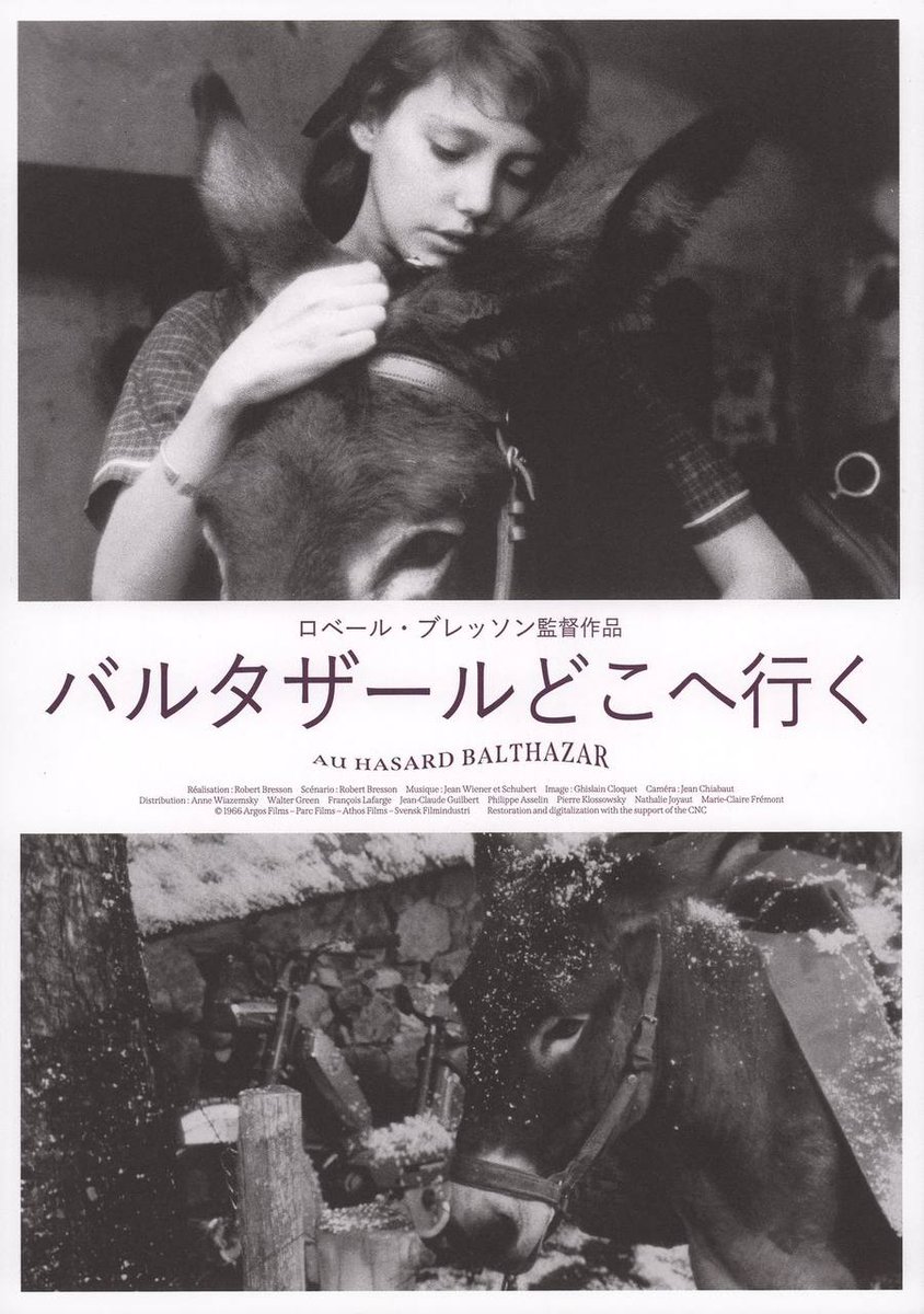 Japanese poster of the 'Au Hazards Balthazar'

--Robert Bresson