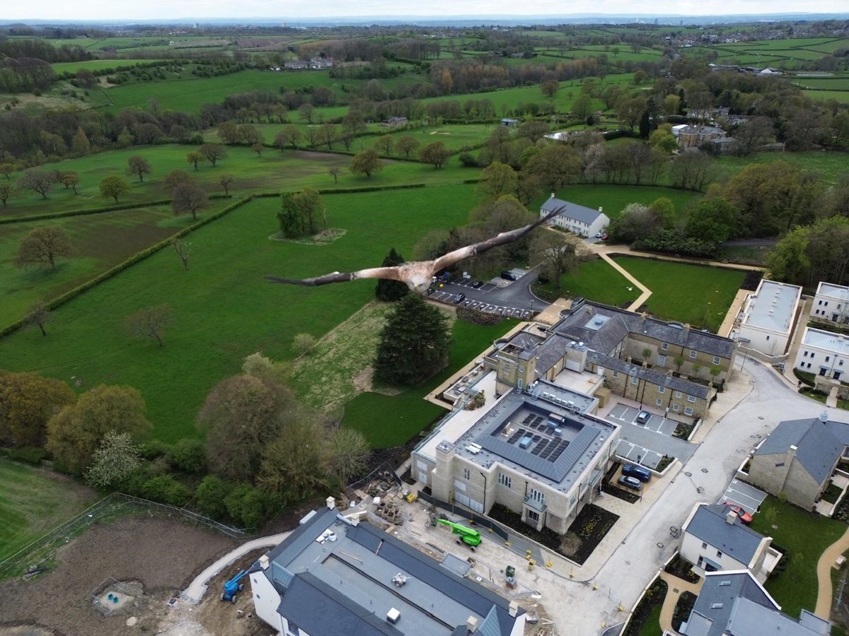 Spotted flying high over Scarcroft Park, an inquisitive Red Kite scoping out the new neighbours.

📷 Drone shot by Marcus, Site Manager for <a href="/GRAHAMGroupUK/">GRAHAM Group</a>