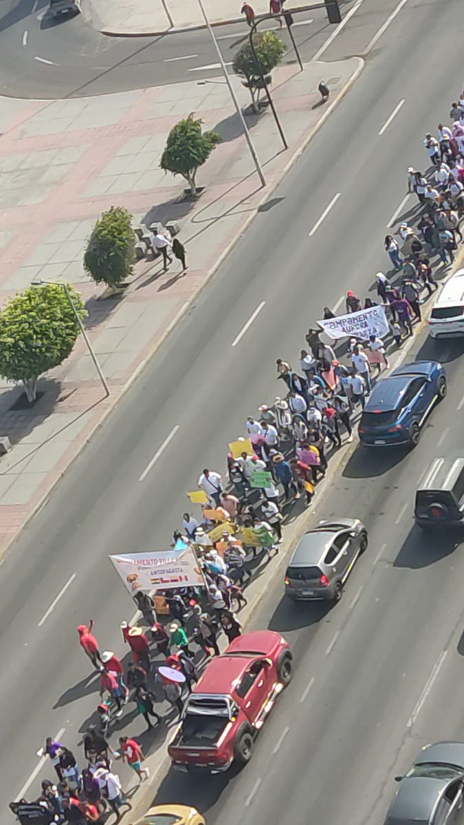 ⚠️⚠️ 'La Cueca en pelota' #AHORA; Extranjeros que viven en campamentos marchan por #Antofagasta exigiendo casa propia.