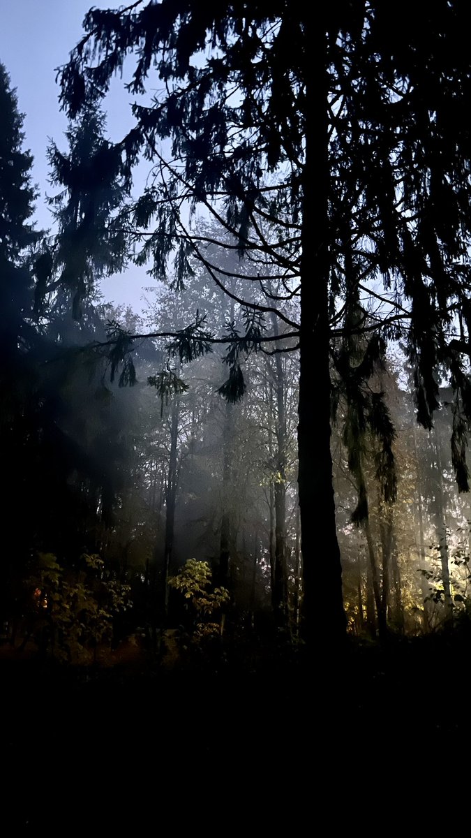 Vera_VR_'s tweet photo. This place is like something out of the game @alanwake 😍❤️

#AlanWake2 #CauldronLake https://t.co/1bncBursFN