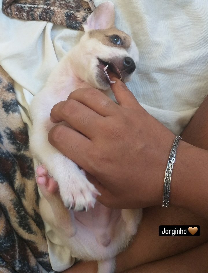 Assixof's tweet image. 🤎