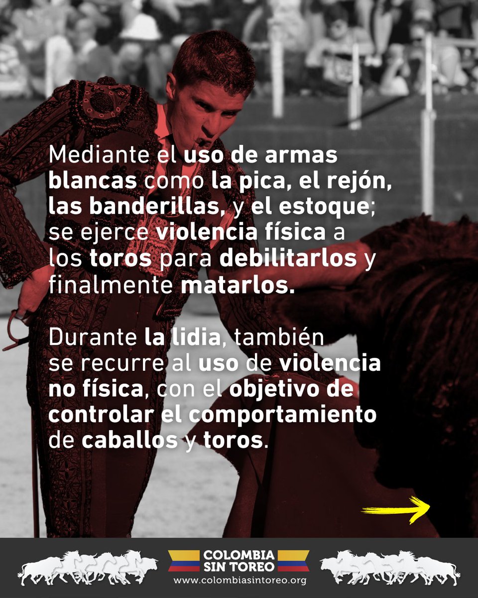 ¡Pilas! Regular la tauromaquia es: ¡Fortalecer expresiones de #ViOLEncia contra los animales! Exhortamos a los miembros de @CamaraColombia a legislar para prevenir y detener las manifestaciones de violencia que vulneran la integridad y vida de los animales. 🧵