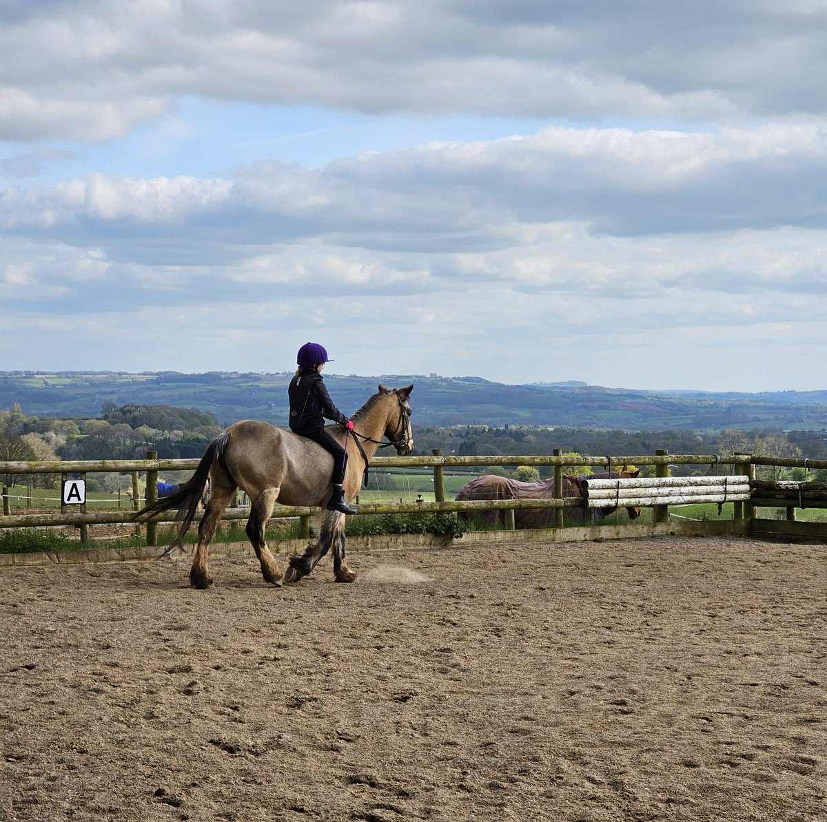 JustinBowen71's tweet image. Riding after school, and my daughter&apos;s decided she wants to do the whole session bareback. I realised long ago that at times like this, there&apos;s only one way to let her learn... 
#horseriding #daughters #learnthehardway