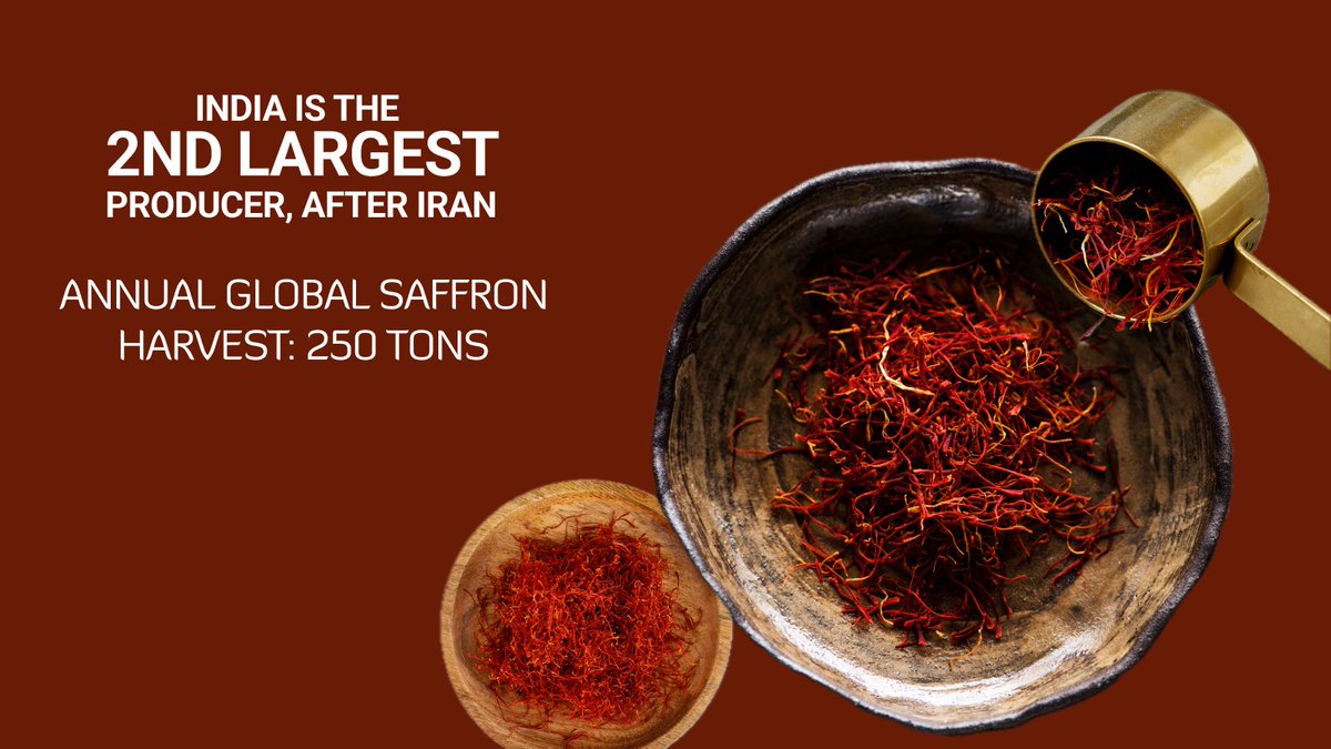 indusfoodshow's tweet image. Unlock the Secrets of #Saffron - A Spice that is more precious than gold and handpicked for perfection! Saffron is not just the world’s most expensive spice; its vibrant color comes from crocin
Explore more such spices at #Indusfood2025: indusfood.co.in 
#SpiceIndustry
