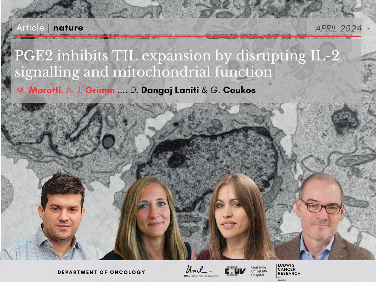 💡NEW study by @AlizeeGrimm @MMorotti @DangajD @CoukosGeorge et al., in @Nature 📈high levels of Prostaglandin E2 in tumors undermine the anti-cancer immune response and compromises TIL-ACT ➡️nature.com/articles/s4158… @unil @CHUVLausanne @Ludwig_Cancer @TU_Muenchen