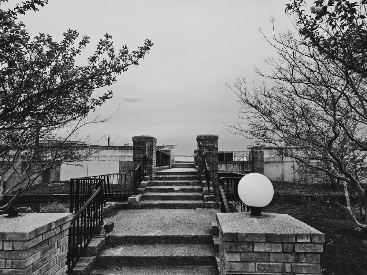 aaaryiaaa's tweet photo. #blackandwhitephotography https://t.co/B6DKOcNweV