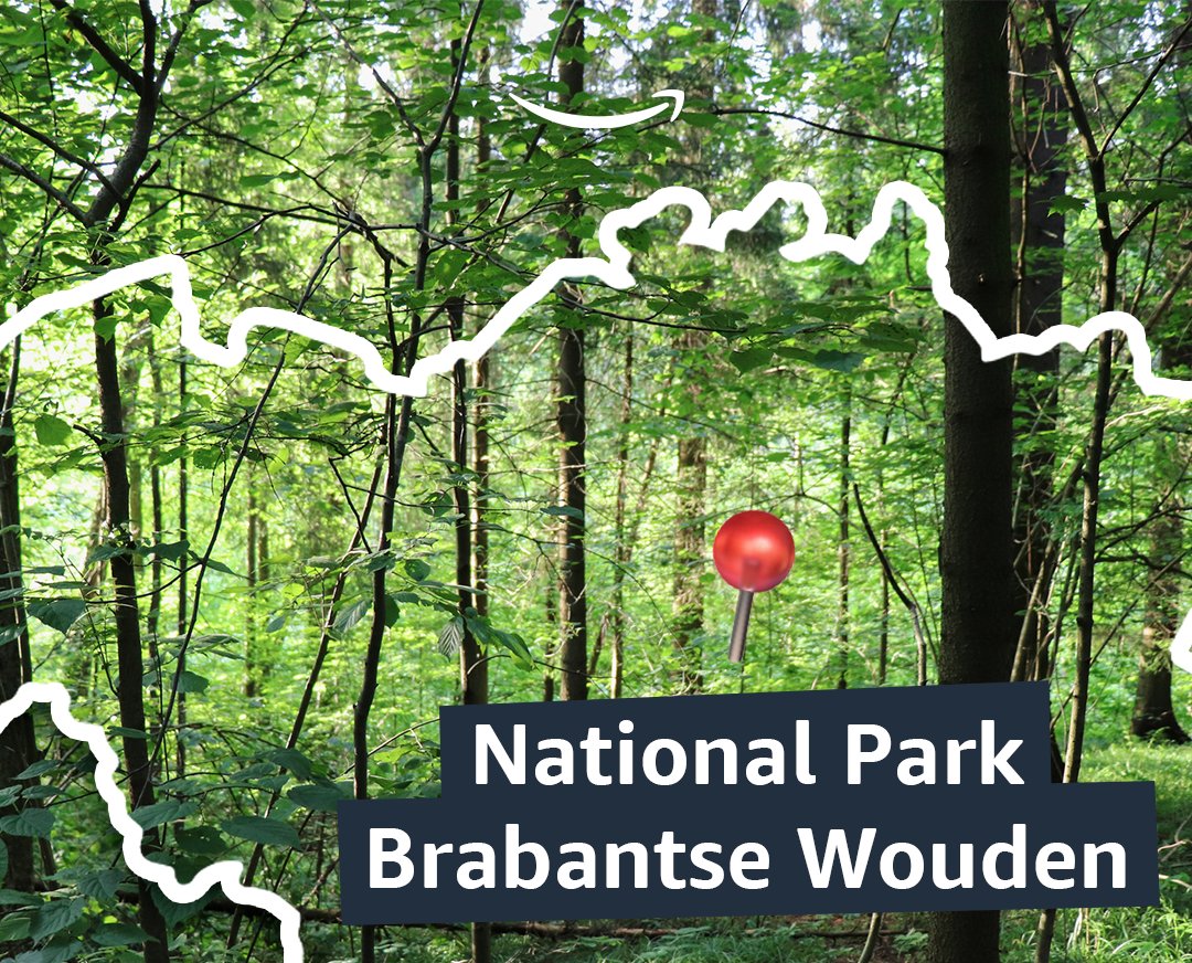 🇧🇪🌳We are very happy to have invested €1.1m in Belgium’s newest National Park, Brabantse Wouden, and contribute to both global and local nature restoration efforts. Read more: aboutamazon.eu/news/sustainab…