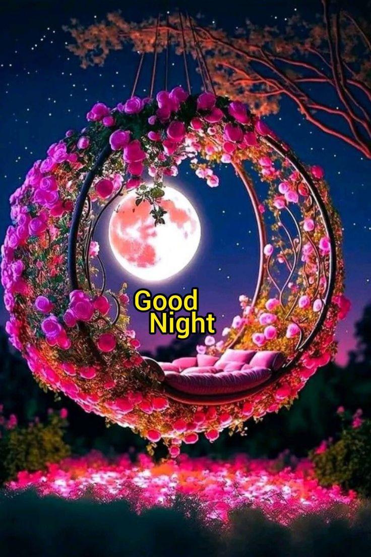 AnwarNohri1's tweet photo. Assalam-0-alaikum 
Good Night 
X Family 
#TDR 
#TDR__now https://t.co/UWVEPj4EGP