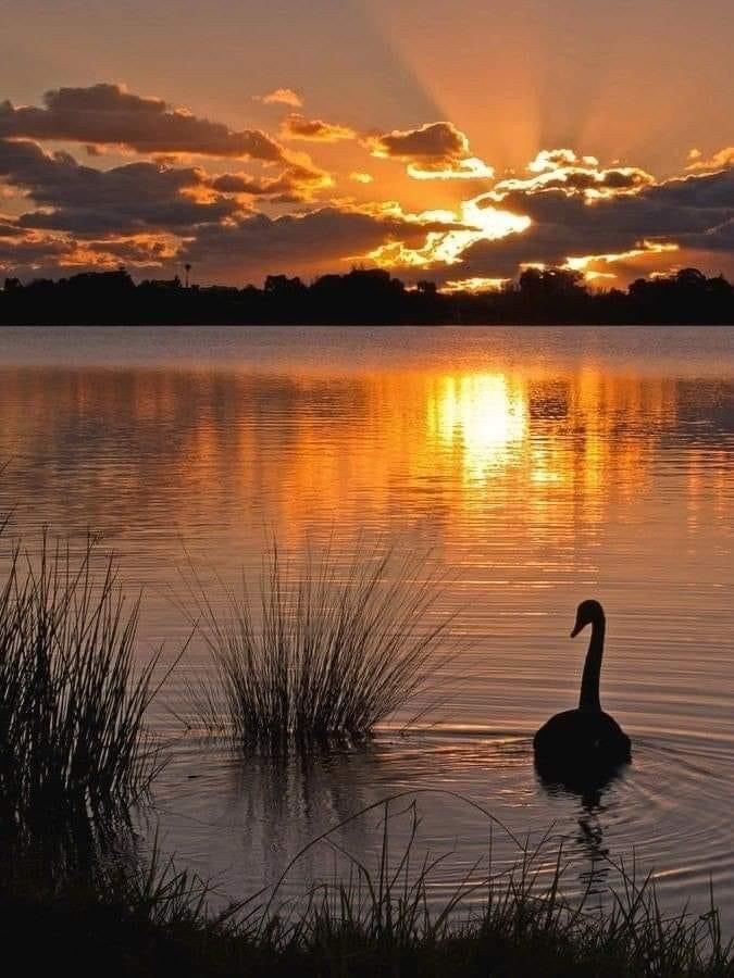 TLeoni311's tweet photo. Good evening 💫 🧡 https://t.co/nO2leOO3LA