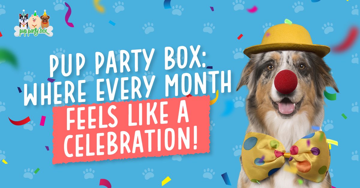🐾💼 Pup Party Box: Where every month feels like a celebration! 🎉🐶 Treat your pup to themed surprises that'll keep their tail wagging and their heart smiling. bit.ly/3uUFXuX  #HappyPup #MonthlyTreats #PawtyTime