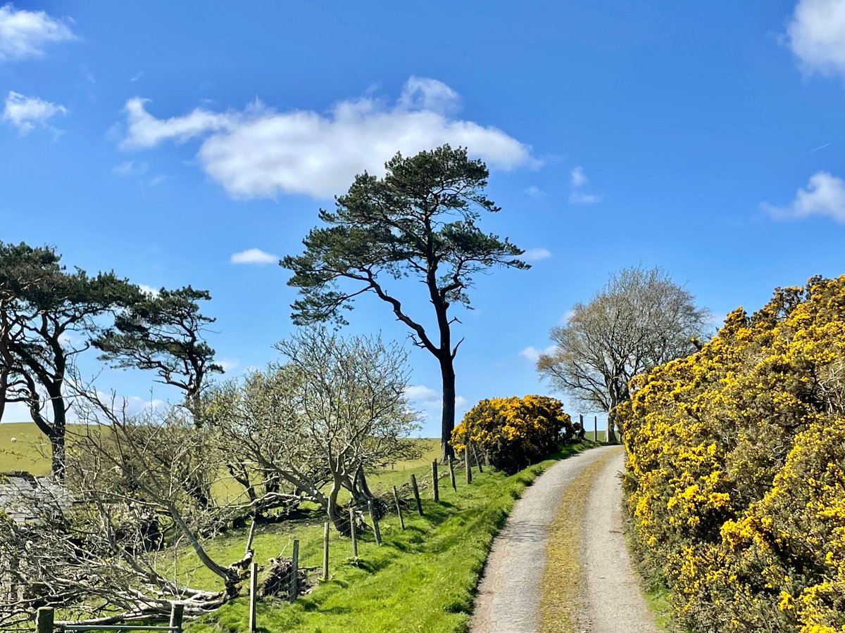 A cool and mostly cloudy but dry afternoon in Cardiff and 11C. Sunny in parts of mid, west and north Wales with chilly air from the Arctic. 9C @PlasyBrenin in Eryri.