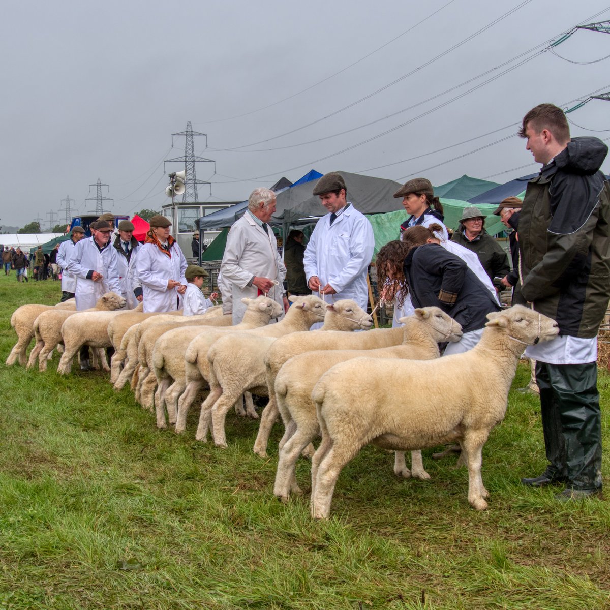 Will you be going to the North Devon Show this year? Tickets are now available to purchase from the Museum shop, so pop by to get yours, ready for Wednesday 7th August. Adult: £18 Child: £3 - 4 years and under are free Family: £38 - 2 Adult, 3 Children 5-15yrs @northdevonshow