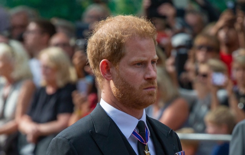 Prince Harry’s Decision To Embrace the US May Bite Him Should His New Projects Not Sell dlvr.it/T5y9K6 #RoyalFamily #CamillaParkerBowles #KateMiddleton