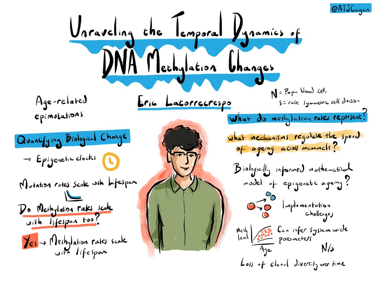 Eric Latorrecrespo on unraveling the temporal dynamics of DNA methylation changes #MITS24