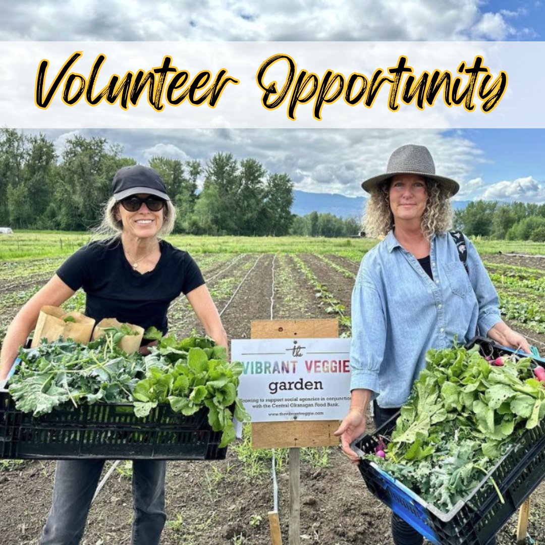 Central Okanagan Food Bank (@cofoodbank) on Twitter photo For more info and to sign up, reach out to Shauna at shauna@thevibrantandveggie.com. All communication will be through weekly emails, making it super convenient for you to stay updated. π±
#VolunteerOpportunity #CommunityGarden #SupportLocalCause #Kelowna #Westkelowna #Okanagan For more info and to sign up, reach out to Shauna at shauna@thevibrantandveggie.com. All communication will be through weekly emails, making it super convenient for you to stay updated. π±
#VolunteerOpportunity #CommunityGarden #SupportLocalCause #Kelowna #Westkelowna #Okanagan