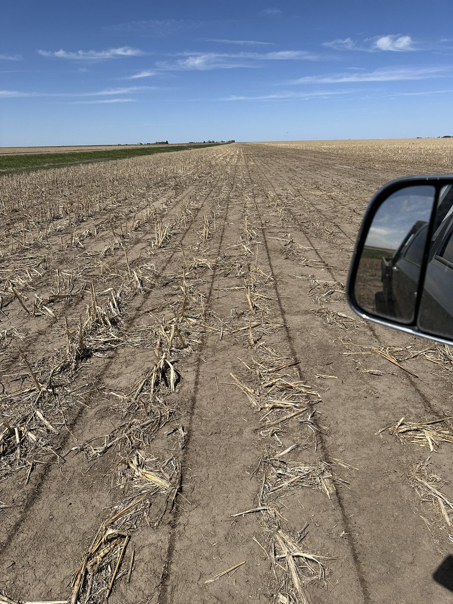 ahorinek's tweet photo. I hate surface applying N.  Hate it.  That said if you’re going to do it, band it tight/thick, hit as much soil as possible, add black to the tank and pray for rain. 😂😂 https://t.co/r0xz0bH2fY