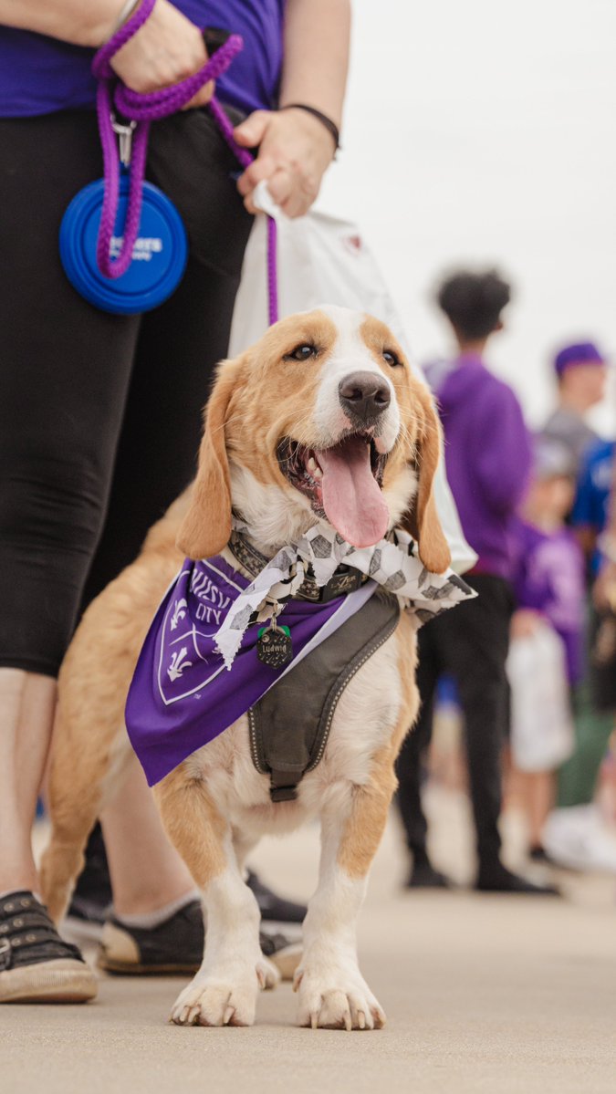 loucityfc tweet picture