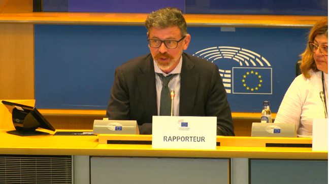 CSOGroupEESC's tweet photo. Strong relations between Civil Society in the EU🇪🇺 and the 🇬🇧UK must be maintained.

🔊In particular the voice of young people must be empowered and amplified! #Youth #YouthTest #EESCplenary

🗣️Rapporteur @CillianLohan
Read our @EU_EESC opinion👉🏽https://t.co/kbpoxZRJSy https://t.co/uSo3ZYVkwi