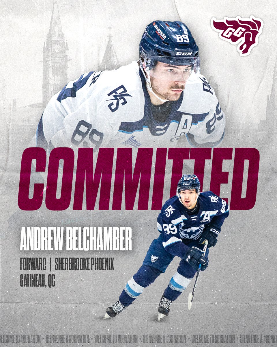 We are excited to welcome Andrew Belchamber to #GGnation! 🐎

In a career-year for Sherbrooke this season, he put up 68 points (28 goals & 40 assists) in 78 total games while serving as an alternate captain with the Phœnix.

Welcome home, Andrew! 🤝