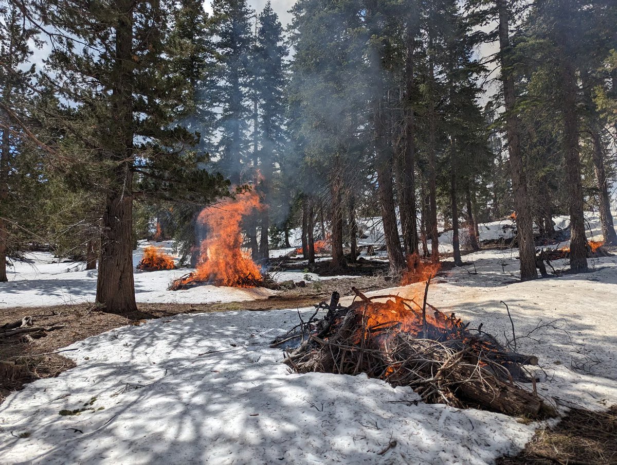 HumboldtToiyabe's tweet photo. Fire crews continue pile burning on the #CarsonRD in Monitor Pass Habitat Restoration Project area at the top of Monitor Pass southeast of #Markleeville, #California. Please do not call 911, local fire departments are aware. More info on prescribed fire: https://t.co/hj0Qmu3Iul https://t.co/MfpszTi0sq